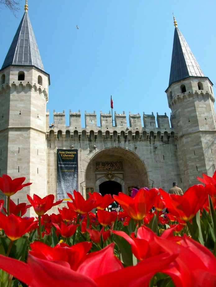 tulipanes en Estambul