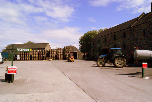 DSC07626 - copia