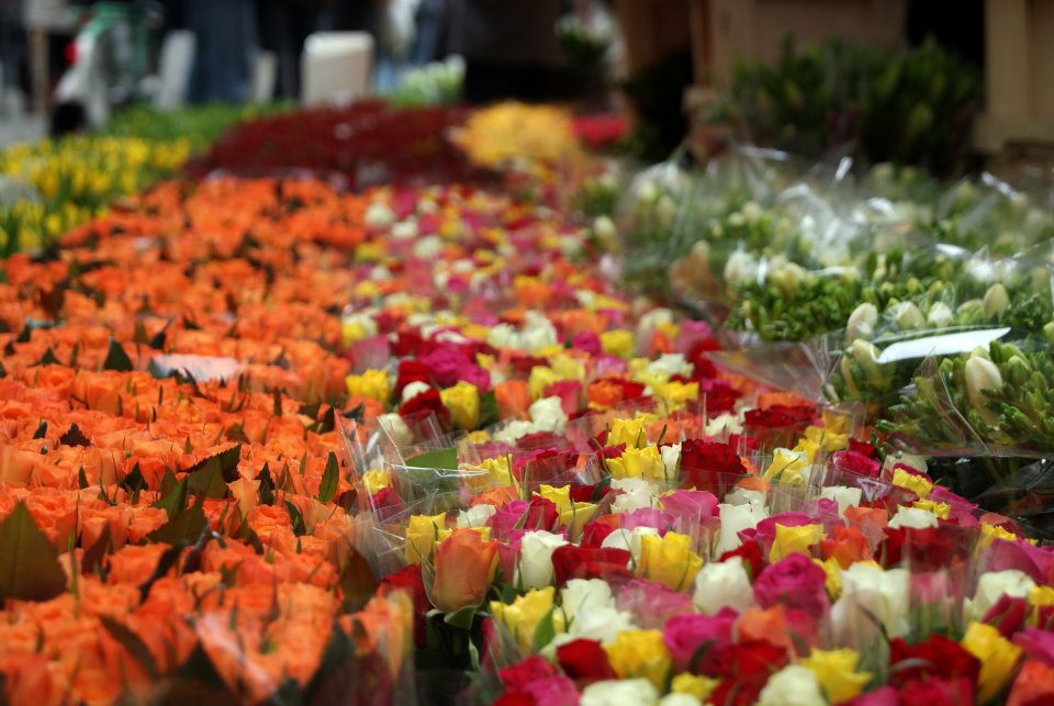 mercado de flores