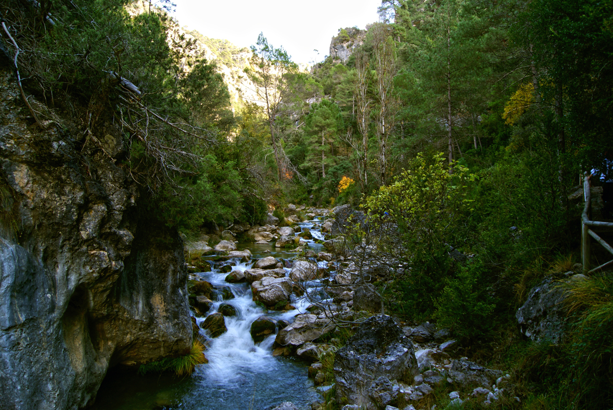 Sendero de la Cerrada de Elías en el Parque Natural de Cazorla