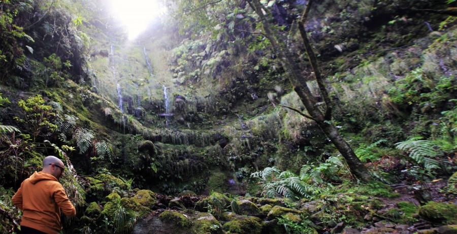 Qué ver en Madeira: Levada Caldeirao Verde
