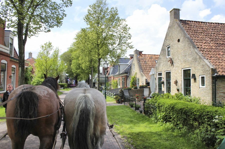 Paseando en carro de caballos por el pueblo de la isla de Schiermonnikoog