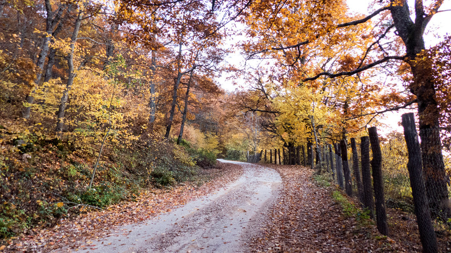 carretera otoño