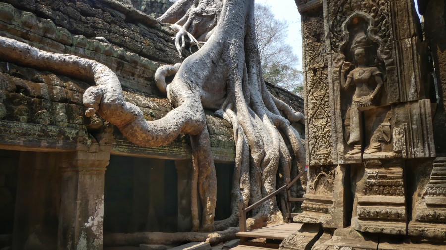 Historia de Angkor:  ta prohm