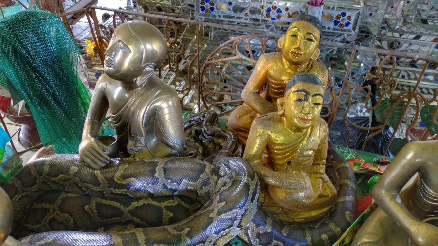 snake pagoda