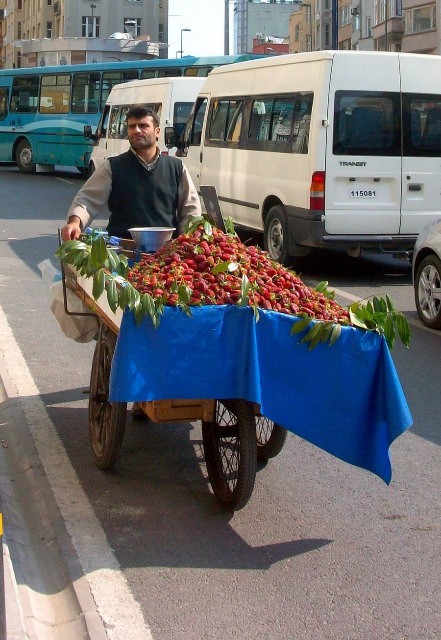 vendedor de fresas