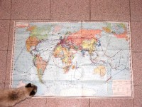 Una gran cita de viajes de un gran viajero