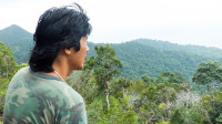 Tailandia 6: Senderismo por la selva de Ko Chang (VÍDEO)