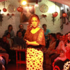 Qué ver y hacer en Granada asistir a un show de Flamenco