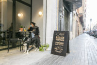 Viajar a Valencia con perro es cada vez más sencillo
