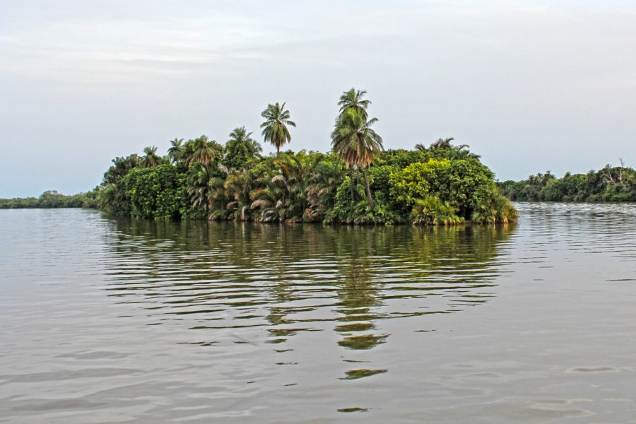 Una isla Del Río gambia
