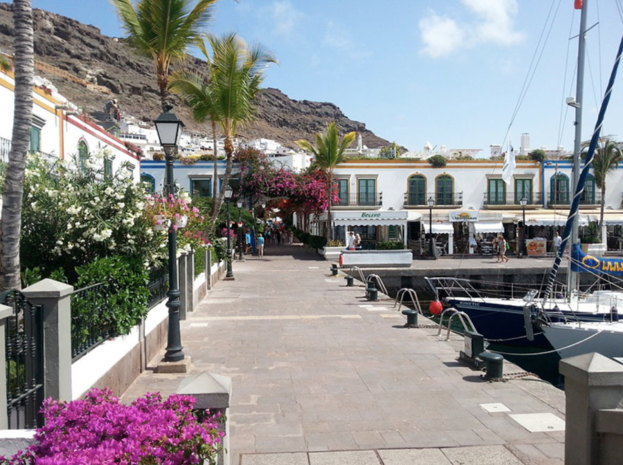Macaronesia: Puerto de Mogán, Gran Canaria