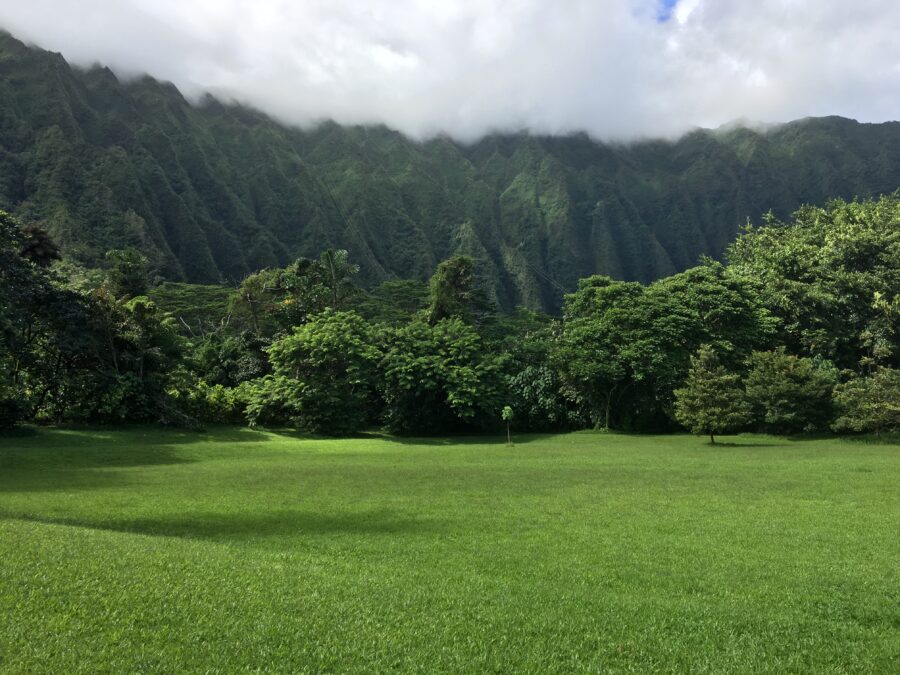 Jardin Botánico de Oahu